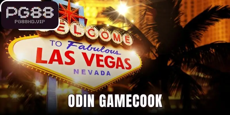 Odin Gamecook
